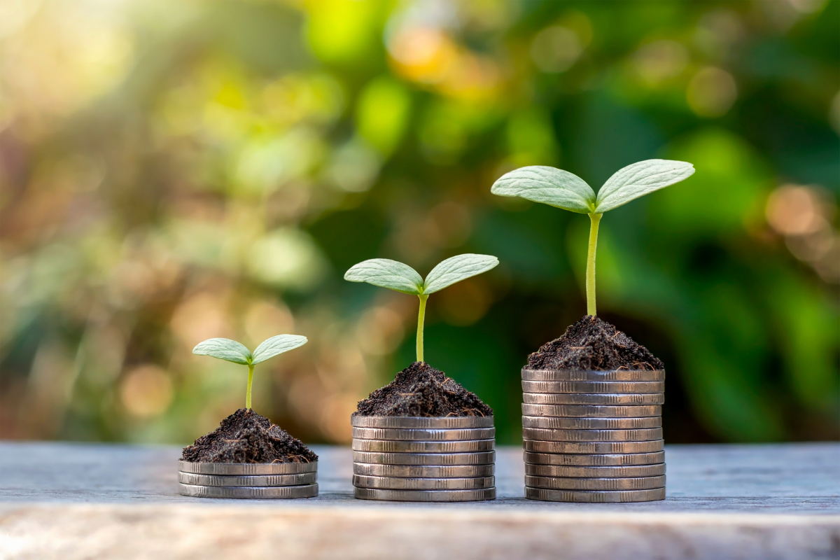 seedlings-growing-from-stacks-of-coins-showing-revenue-growth