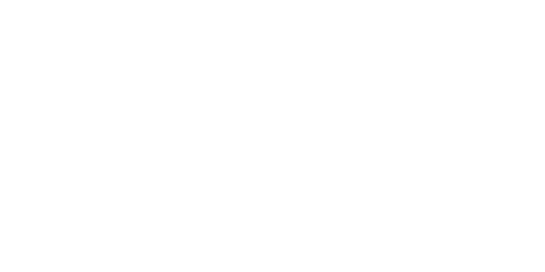 SwimEx